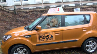 Fake Driving School szőrös pinájú spiné a hátsó ülésen