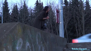 Public Agent - nagy didkós milf